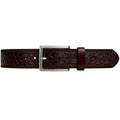 Ryu Belt in Brown